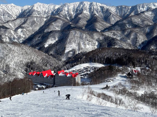 長野県/白馬コルチナ|スキー場