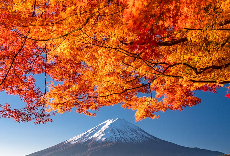 スライド（秋の富士山）
