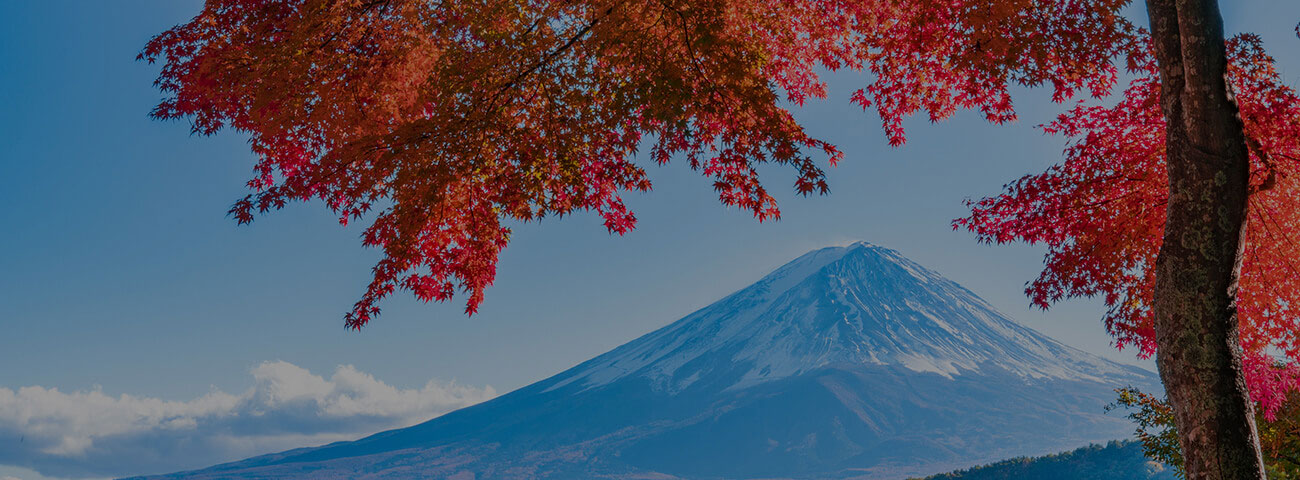 スライド（富士山 秋）