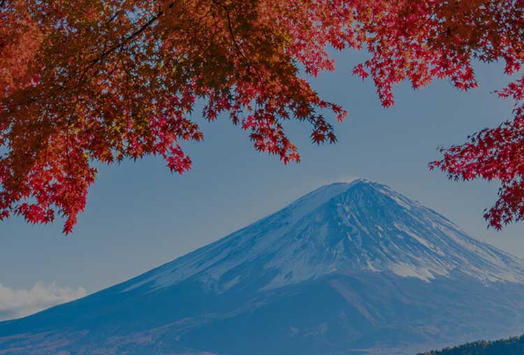 スライド（富士山 秋）