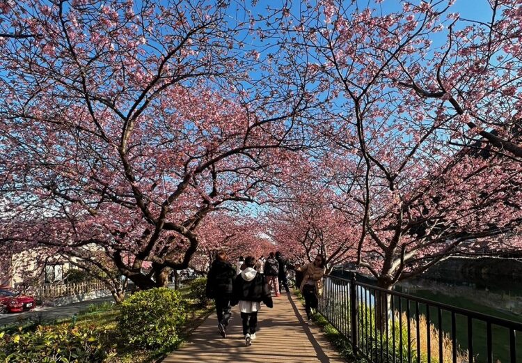 リゾートバイト休日