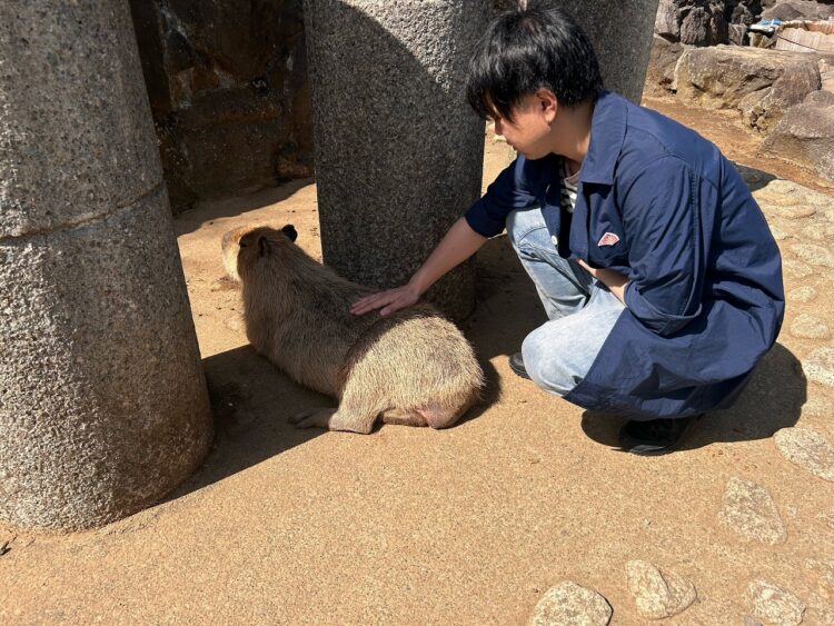 リゾートバイト動物