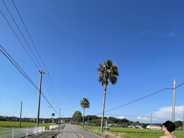 ホテル最寄りのコンビニに向かう道中県道316号