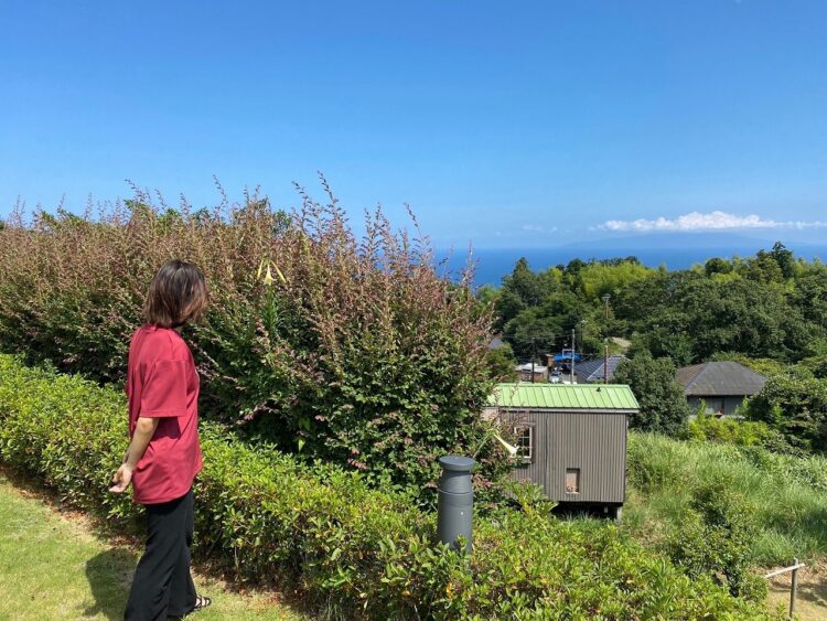 寮の近くにある美術館からの景色