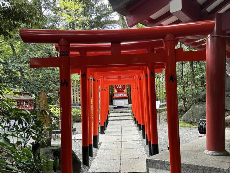 来宮神社