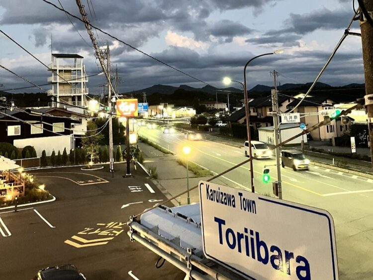 ホテルの近くにある歩道橋の上から散歩しているときに撮影した写真