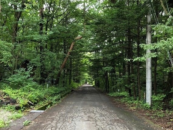 寮からホテルまでの出勤の道のり