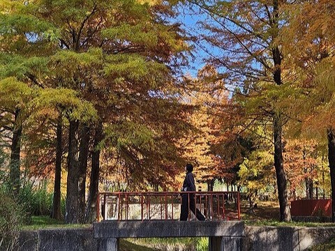 三田の公園