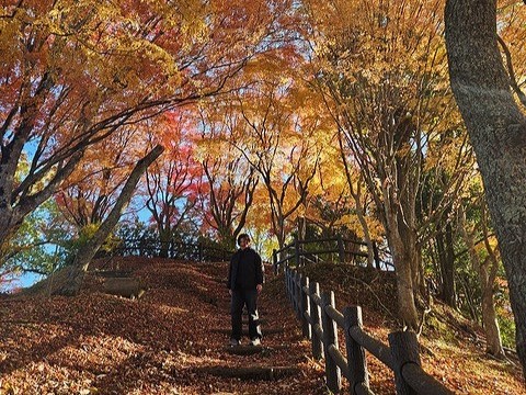 丹波篠山へ紅葉観光