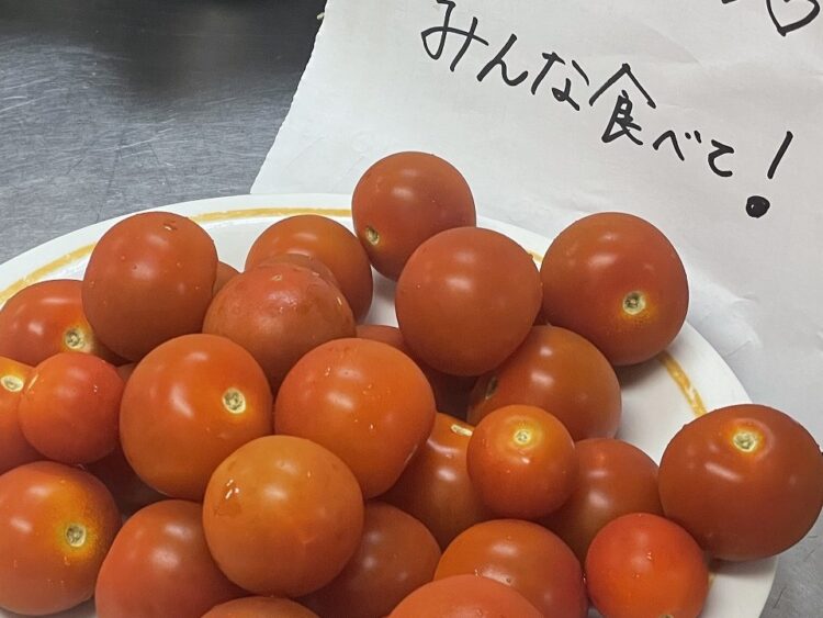 社員さんから定期的に庭で採れたお野菜をプレゼントしてくれます