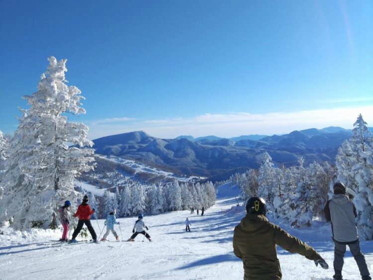 スキー場山頂