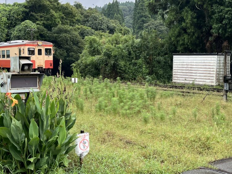 いすみ鉄道で現地に向かった時の写真