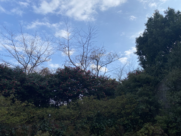 寮からの景色