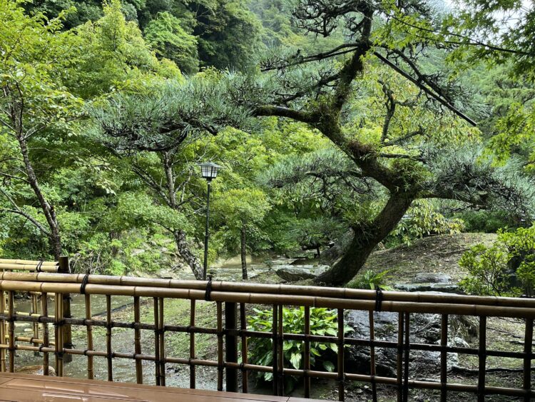 旅館から見える景色