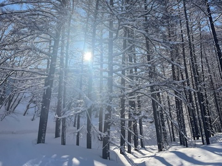 出勤時の景色