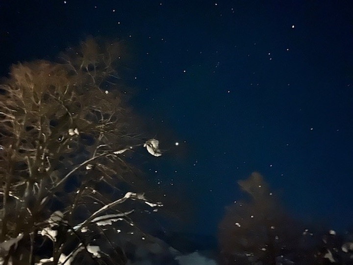 空気が澄んでいて、満点の星空も見えました