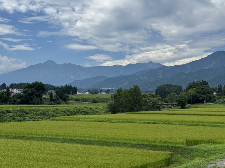 近くの田園 (1)
