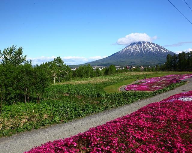 募集終了 International Resort 北海道 ニセコの住み込み求人 リゾートバイト Net