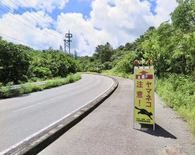 西表島の住み込みリゾートバイト（お土産販売など）のサブ画像１