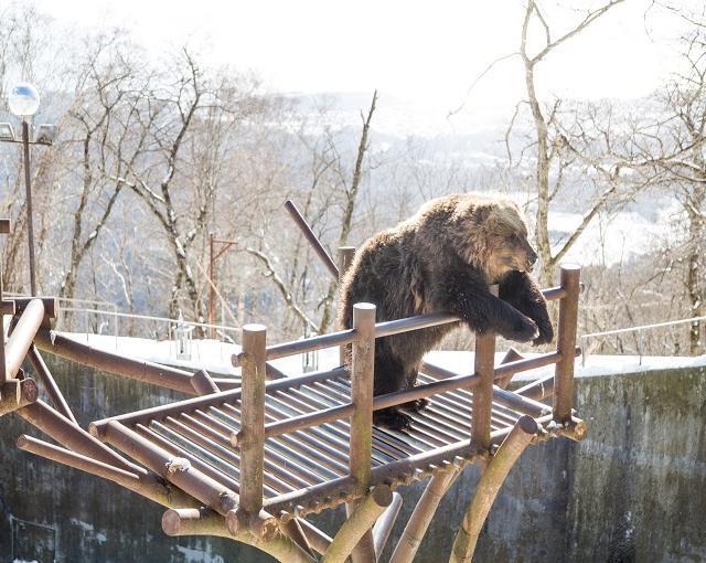 登別の住み込みリゾートバイト（旅館の仲居、裏方）のサブ画像５