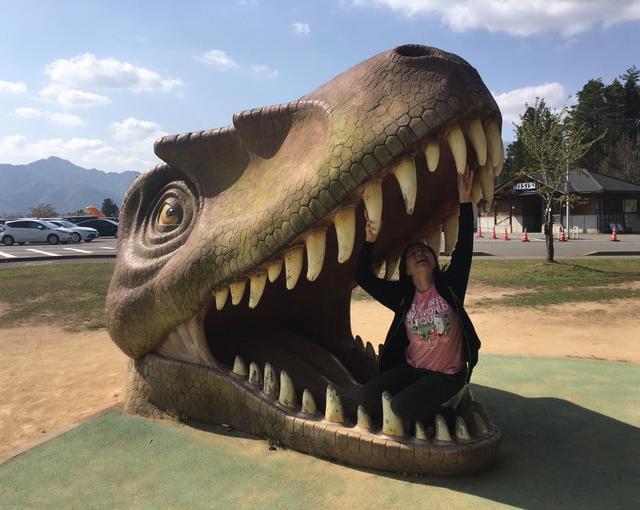 勝山の住み込みリゾートバイト（博物館内のホール・売店）の画像５