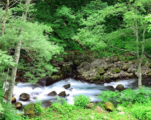 白骨温泉の住み込みリゾートバイト 旅館のお仕事 リゾートバイト Net