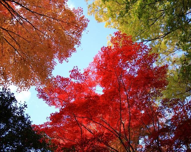 蔵王の住み込みスキー場バイト（旅館の接客）のサブ画像４