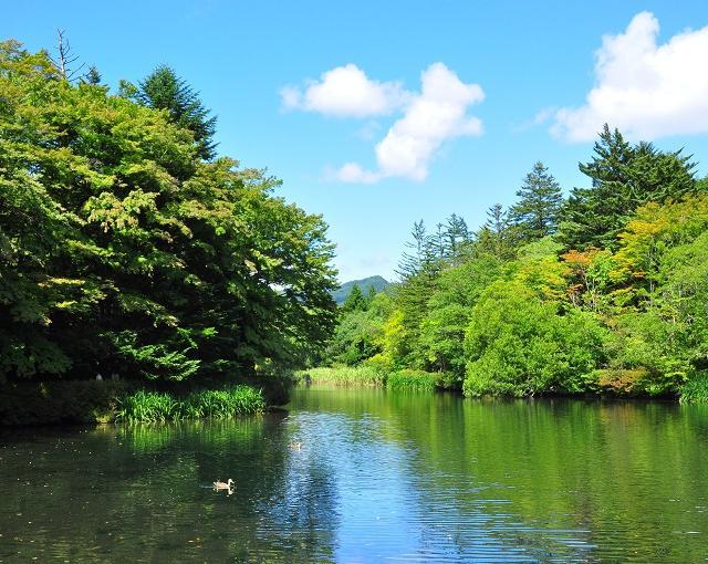 軽井沢の住み込みリゾートバイト（ホテルのレストラン・フロントなど）の画像２