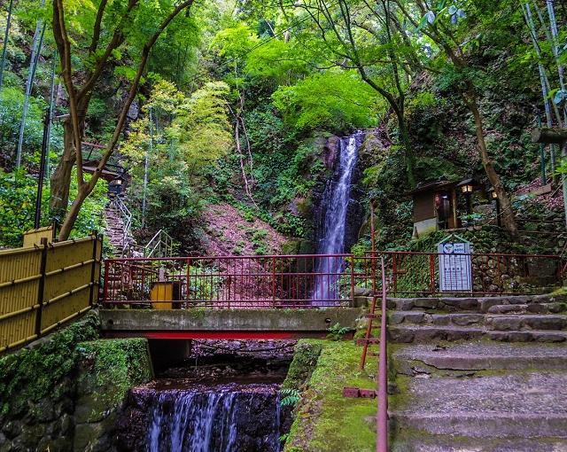 湯河原の住み込みリゾートバイト（旅館のレストラン・フロントなど）の画像２