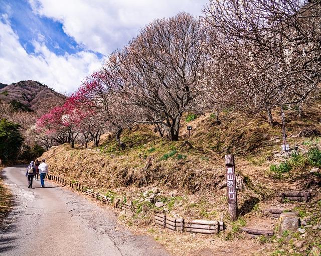 湯河原の住み込みリゾートバイト（旅館のレストラン・フロントなど）の画像３