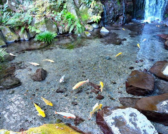 箱根の住み込みリゾートバイト（旅館の裏方）の画像３