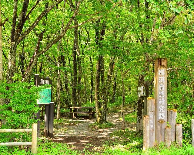 那須高原の住み込みリゾートバイト（ホテルのレストラン・フロントなど）のサブ画像２