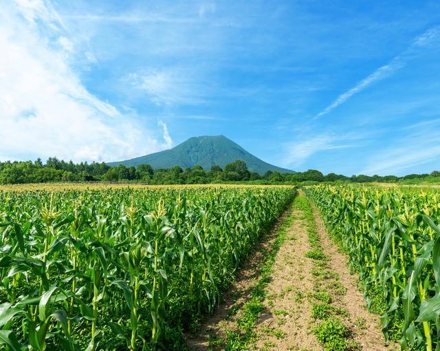 弘前の住み込みリゾートバイト（旅館の全般業務）の画像１