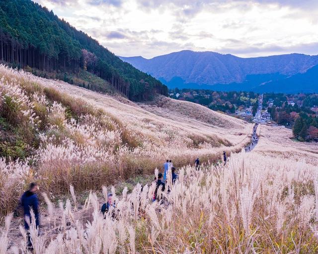 箱根の住み込みリゾートバイト（ホテルのレストラン・フロントなど）の画像１