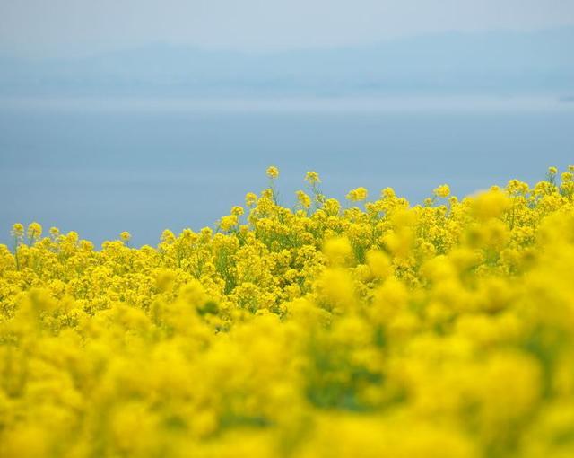 淡路島の住み込みリゾートバイト（ホテルのレストラン、ベルなど）の画像５