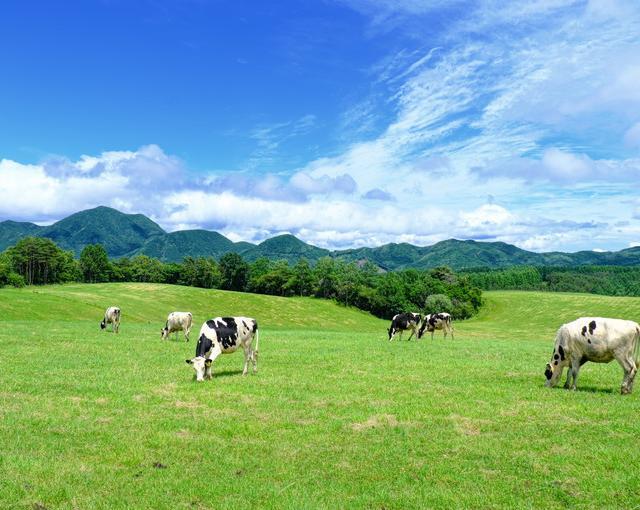 北軽井沢の住み込みリゾートバイト（ホテルのレストラン、清掃、洗い場など）の画像３