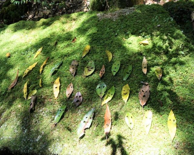 屋久島の住み込みリゾートバイト（ホテルのフロント・レストランなど）の画像１