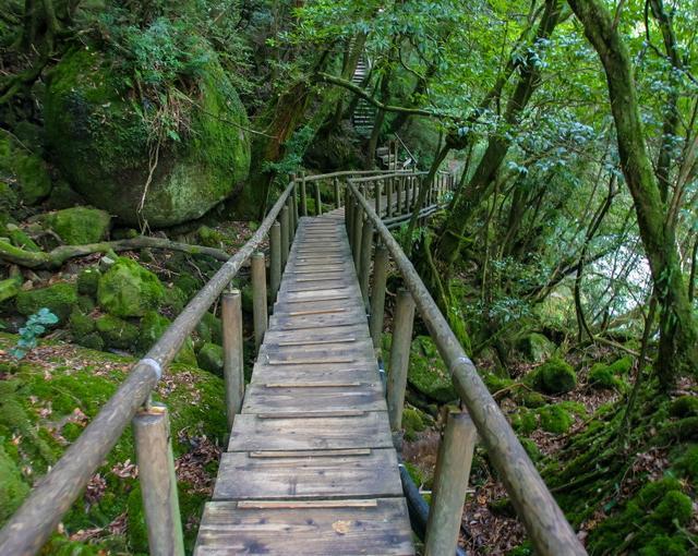 屋久島の住み込みリゾートバイト（ホテルのフロント・レストランなど）の画像４