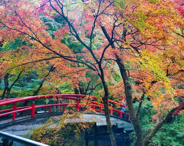 伊香保温泉の住み込みリゾートバイト（ホテルのレストランスタッフ、裏方など）の画像２