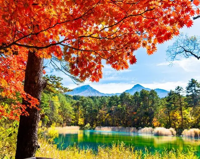 【ホテルのお仕事】