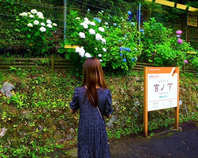 箱根の住み込みリゾートバイト（ホテルのレストランなど）の画像１