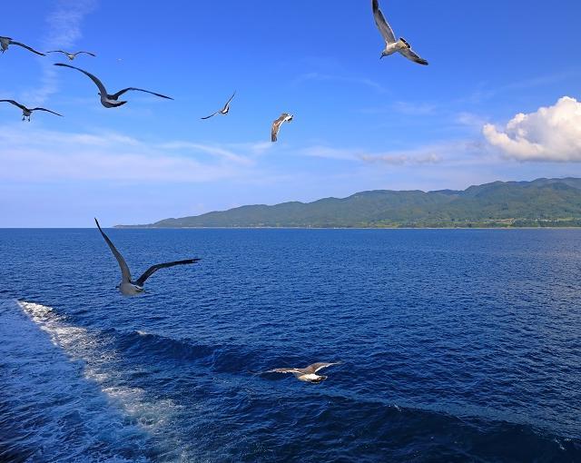 佐渡島の住み込みリゾートバイト（ホテルのフロント、清掃）の画像１