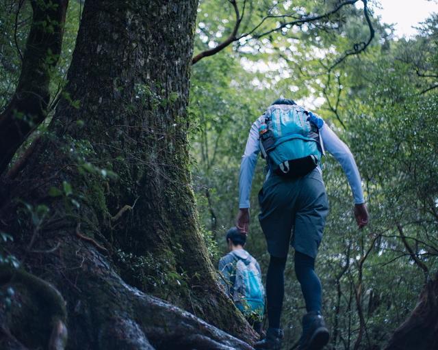 屋久島の住み込みリゾートバイト（ホテルのフロント・レストランなど）の画像１