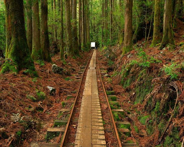 屋久島の住み込みリゾートバイト（ホテルのフロント・レストランなど）の画像２