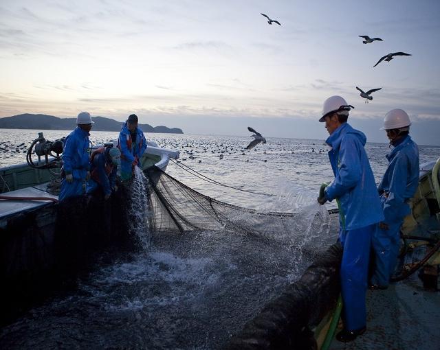 利尻島の住み込みリゾートバイト（漁業）のサブ画像１