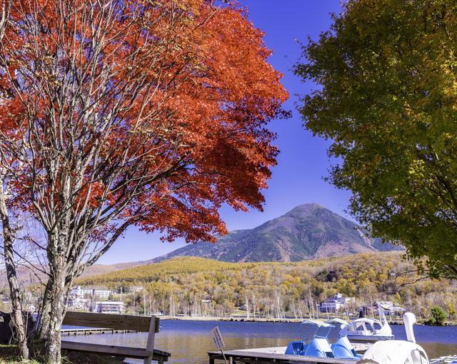 白樺湖の住み込みリゾートバイト（保養所のレストラン、アミューズメント）の画像１