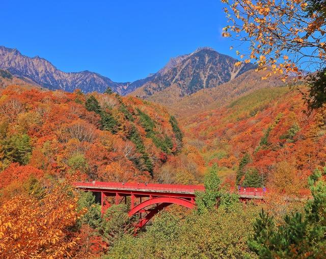 八ヶ岳の住み込みリゾートバイト（プールのお仕事）の画像３