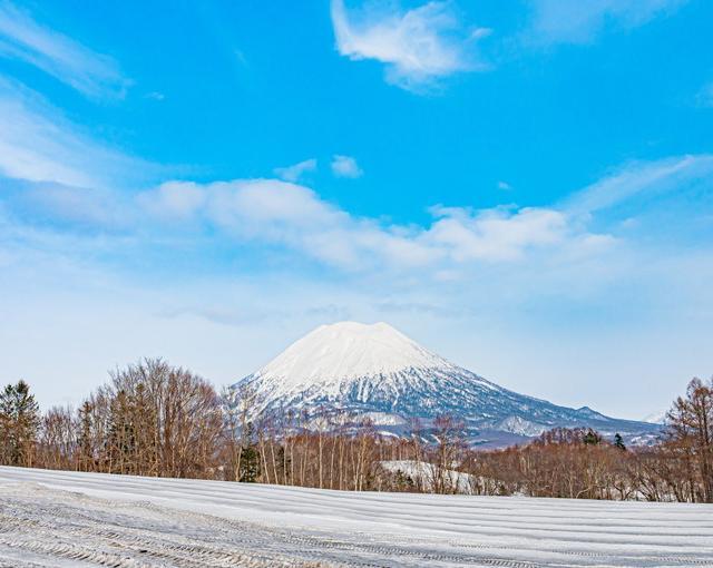 ニセコの住み込みスキー場バイト（ホテルのレストラン、調理補助）の画像１