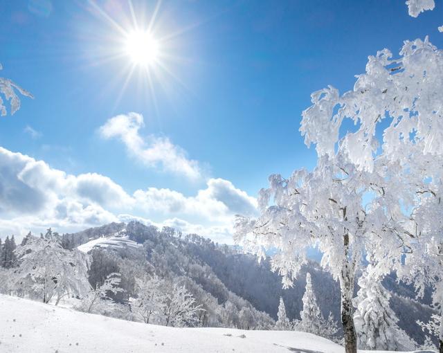 大山の住み込みスキー場バイト（ホテルのサービスなど）のサブ画像３