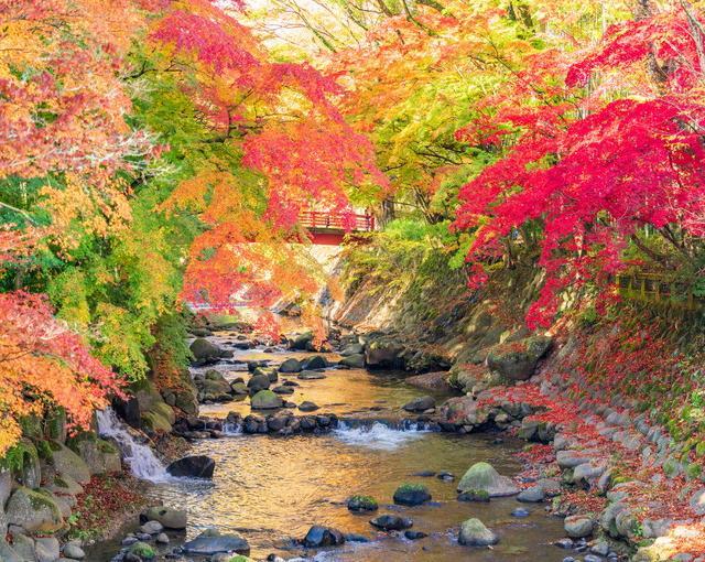 修善寺の住み込みリゾートバイト（旅館のサービススタッフ）の画像５